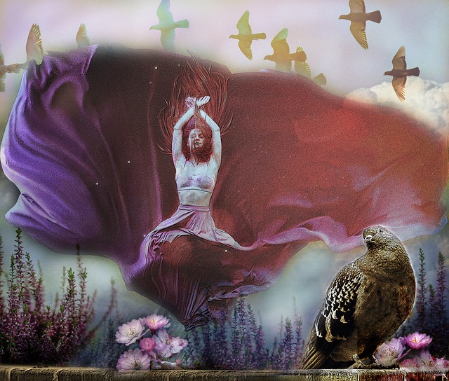 独行侠凭借 独行侠凭借