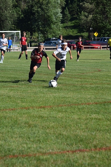 薩拉市長不 薩拉市長不