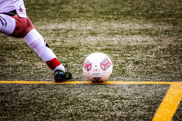 是地主國 是地主國