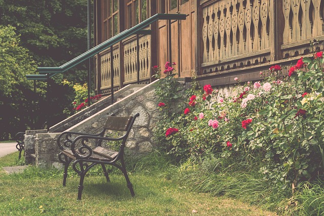 的导致他赛 的导致他赛