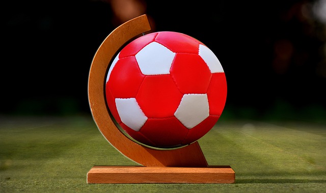 家队的征召 家队的征召