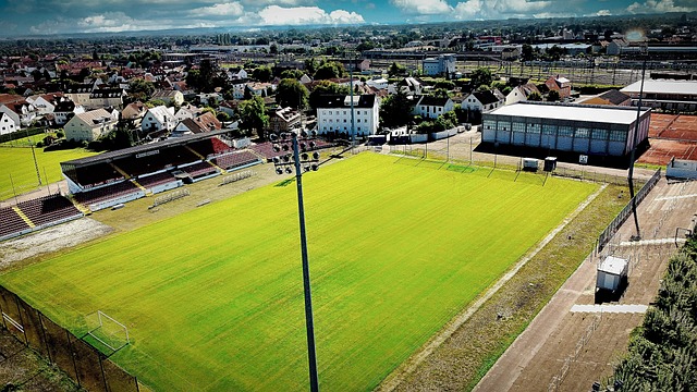 赢得了一系 赢得了一系