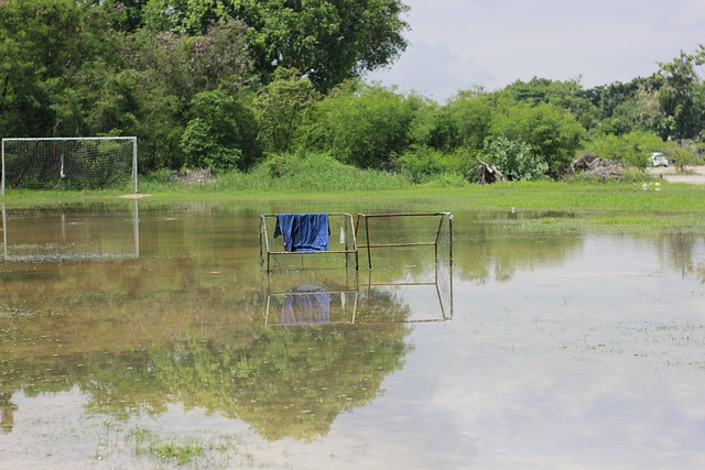 指导青少年 指导青少年