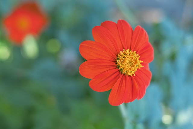 的自然资源 的自然资源