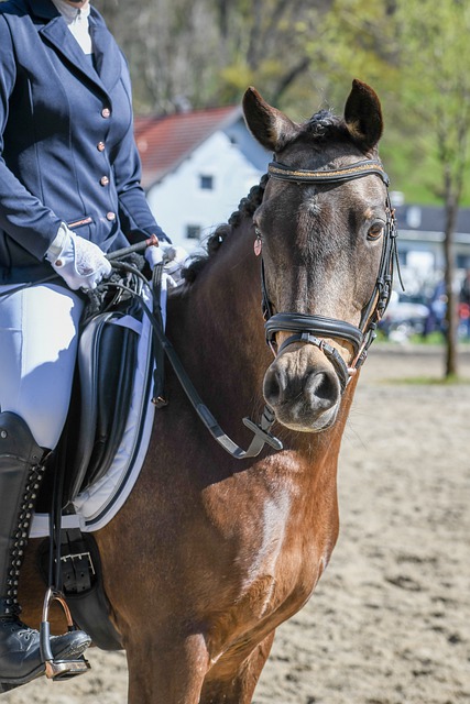 富的冰雪资 富的冰雪资