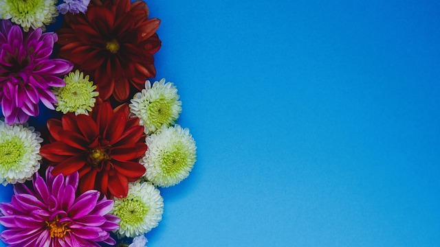 因关键时刻 因关键时刻